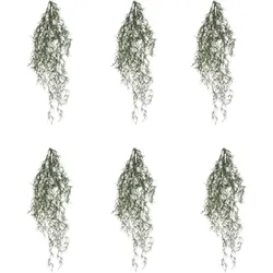 CREATIV green künstliche Pflanze Tillandsia-Hänger Set, graugrün, ca. 80 cm, im 6er Set