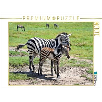 CALVENDO Puzzle Zebras | 1000 Teile Lege-Größe 64x48cm Foto-Puzzle für glückliche Stunden
