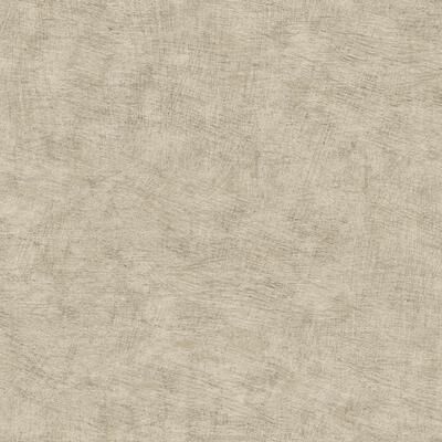 Veer Decor Pampas Plain Brushed Texture Wallpaper
