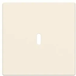 Busch-Jaeger Zentralscheibe 6479-82 2CKA006400A0445