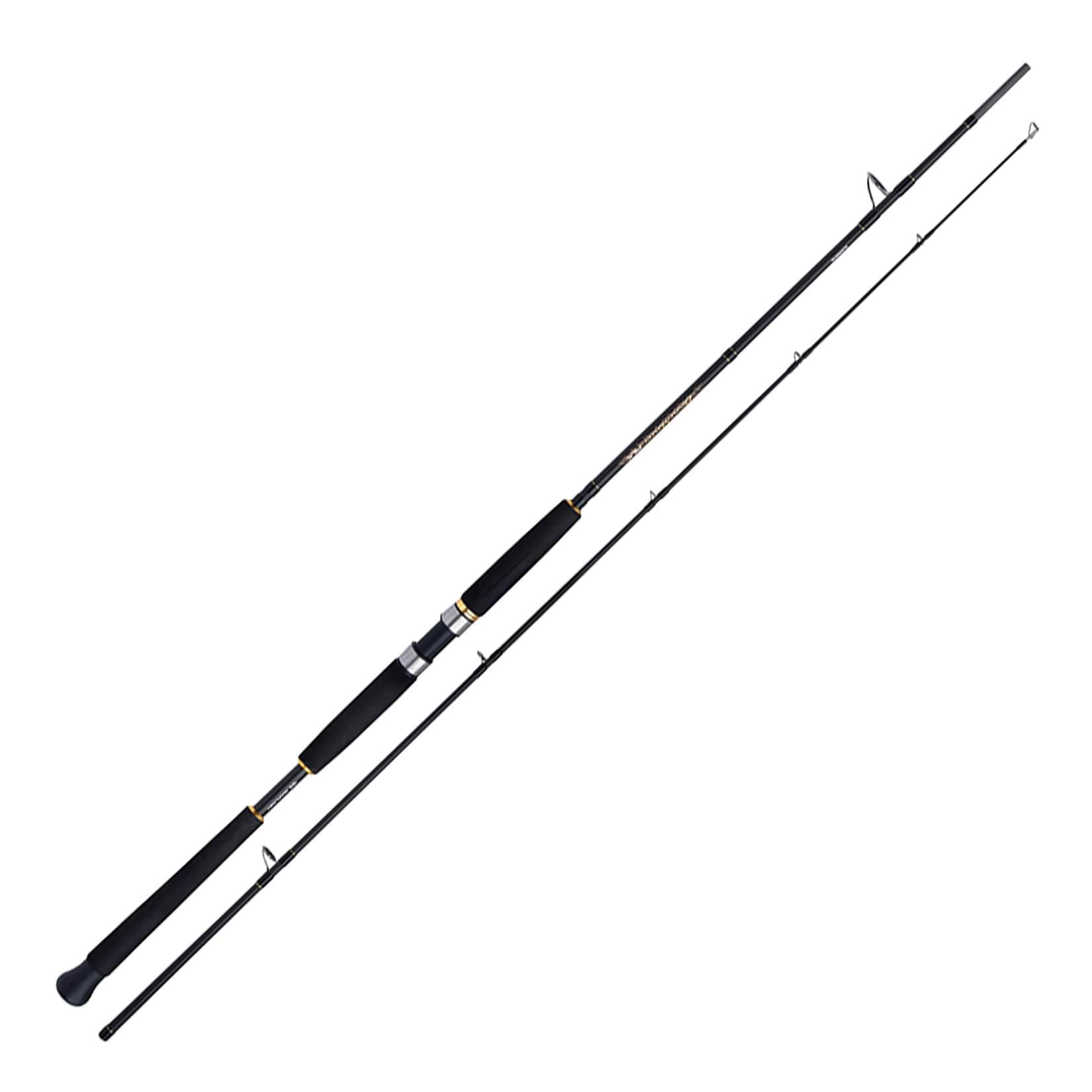 Shimano Beastmaster AX Pilk 2,40m 100-200g 2pc Pilkrute