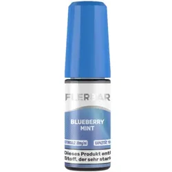 Flerbar Blueberry Mint NicSalt Liquid 10ml / 20mg