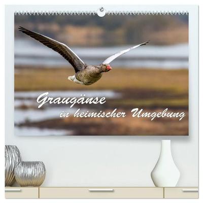 Graugänse in heimischer Umgebung (hochwertiger Premium Wandkalender 2027 DIN A2 quer), Kunstdruck in Hochglanz