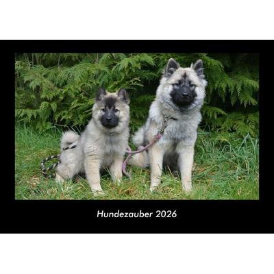 Hundezauber 2026 Fotokalender DIN A3