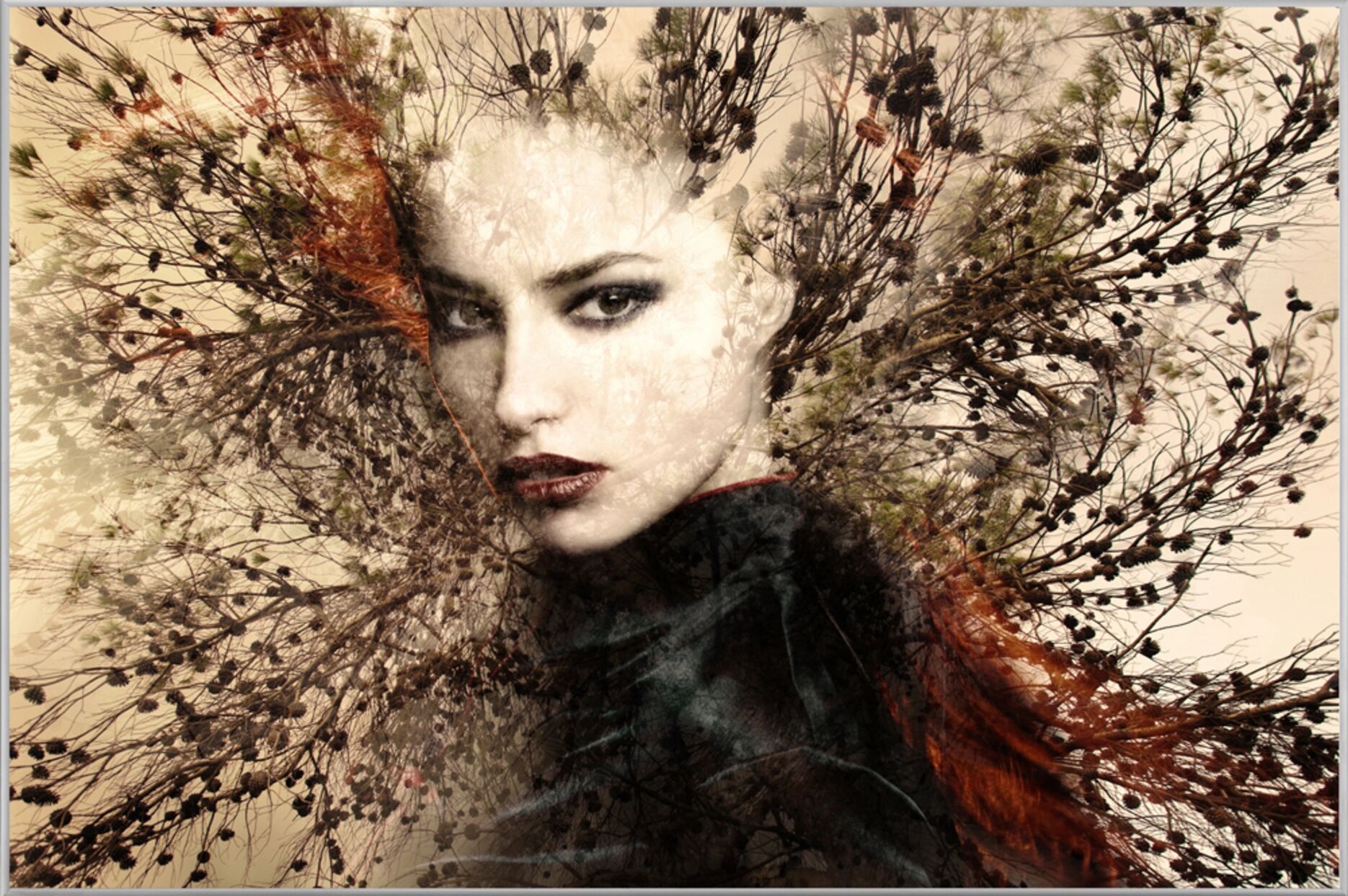 image LAND Baumfee