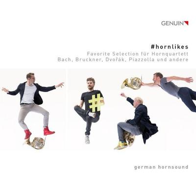 & Hornlikes-Werke für Horn - , CD, 4260036254938