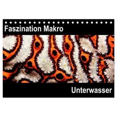 Faszination Makro Unterwasser (Tischkalender 2027 DIN A5 quer), CALVENDO Monatskalender