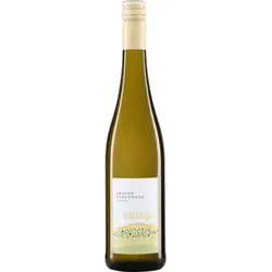 Riesling Grüne Hügel Weingut Immel 2025 BIO
