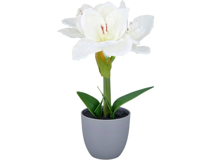 Kunstblume CREATIV GREEN Amaryllis , weiß, H:35cm, Polyester, Kunstpflanzen, Kunstblume, mit traumhaft schöner Blüte