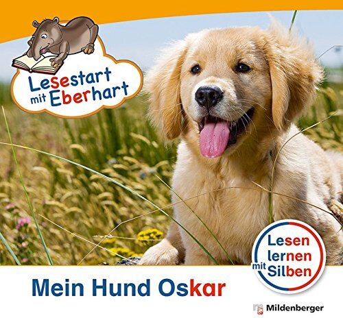 Lesestart mit Eberhart - Mein Hund Oskar: Lesen lernen mit Silben 1. Klasse - Preis vom 13.10.2026 19:28:25 h