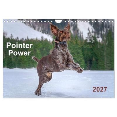Pointer Power (Wall Calendar 2027 DIN A4 landscape), CALVENDO 12 Month Wall Calendar