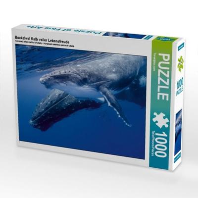 CALVENDO Puzzle Buckelwal Kalb voller Lebensfreude 1000 Teile Puzzle quer | 1000 Teile Lege-Größe 64 × 48 cm Foto-Puzzle für glückliche Stunden