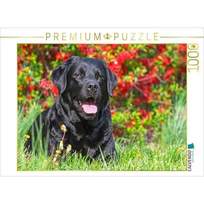 CALVENDO Puzzle Ein wunderschönes Mädchen | 1000 Teile Lege-Größe 64x48cm Foto-Puzzle für glückliche Stunden