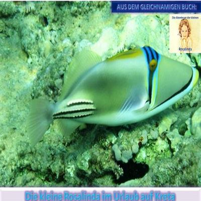 Die kleine Rosalinda im Urlaub auf Kreta - Monika Schuberth, Audio, 4057664658197