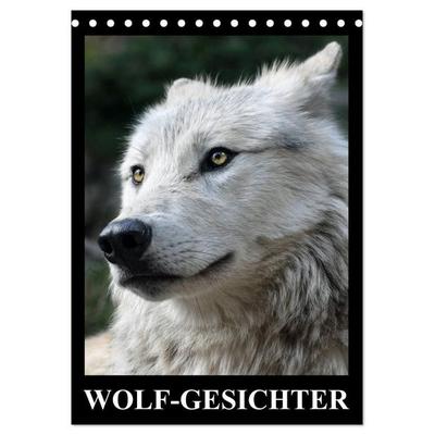 Wolf-Gesichter (Tischkalender 2027 DIN A5 hoch), CALVENDO Monatskalender