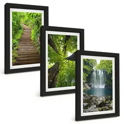 BILDER SET 3er Set - 20x30 cm Schwarzer Rahmen - Pfad Wald Wasserfall Vegetation