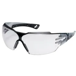 uvex Bügelbrille pheos cx2 silber, schwarz - 9198013