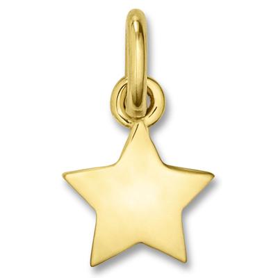 Kettenanhänger ONE ELEMENT "Stern Anhänger aus 333 Gelbgold", gold, Schmuckanhänger, Damen, Gelbgold 333 Gold, Gelbgold 333, Gold, Kettenanhänger, Fein gefertigt – ein Zeichen mit besonderer Bedeutung