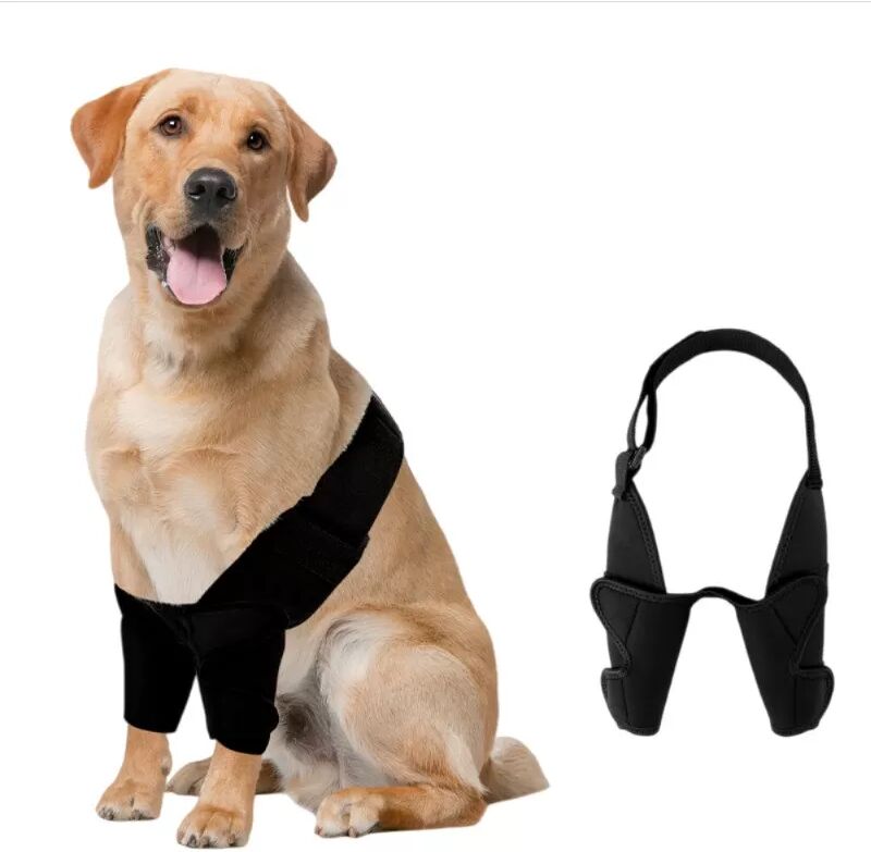 INF Doppelte Kniebandage für Hunde - Gelenkunterstützung & Genesung M