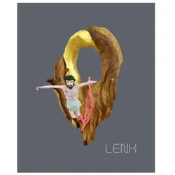 Steffen Lenk, Fachbücher von Lenk Steffen
