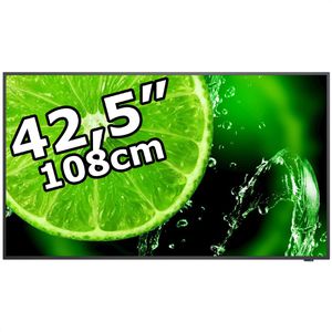 NEC Digital-Signage MultiSync E438, 42,5 Zoll, 4K UHD 3840 x 2160, 400 cd/m², 16/7 Betriebszeit