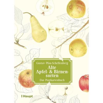 Alte Apfel- & Birnensorten - Das Postkartenbuch, Karte von Gustav Pfau-Schellenberg, Haupt Verlag, 978-3-258-08110-6
