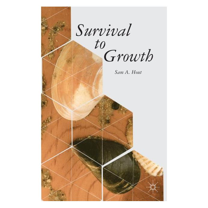 Palgrave Macmillan Hout:Survival to Growth (Englisch, Hardcover, S Hout, S. Hout) (63313553)