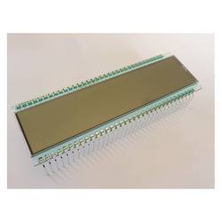 Display Elektronik LCD-Display DE125TU-30/12.2 DE125TU-30/12,2