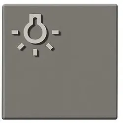 Siedle&amp;Söhne Taste m.Lichtsymbol titan 200029099-00