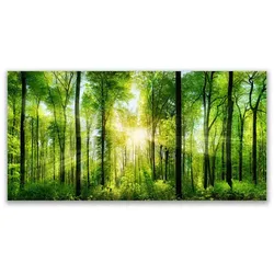 LEINWANDBILD 140x70 cm Sonnenstrahlen im Wald