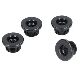 CAMPAGNOLO Kettenblattschrauben Set SR1X13100 für Aero Kettenblatt