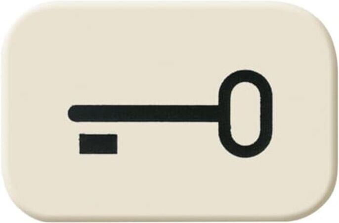 Busch-Jaeger Tastersymbol Schlüssel 2525 TR (2CKA001433A0440)