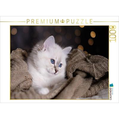 CALVENDO Puzzle Sunny - Blue Tabby | 1000 Teile Lege-Größe 64x48cm Foto-Puzzle für glückliche Stunden