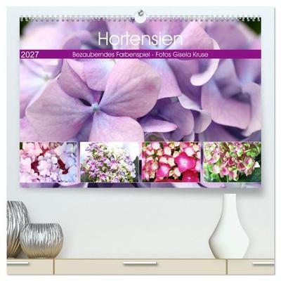 Hortensien Bezauberndes Farbenspiel (hochwertiger Premium Wandkalender 2027 DIN A2 quer), Kunstdruck in Hochglanz