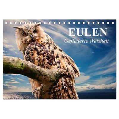 Eulen. Gefiederte Weisheit (Tischkalender 2027 DIN A5 quer), CALVENDO Monatskalender