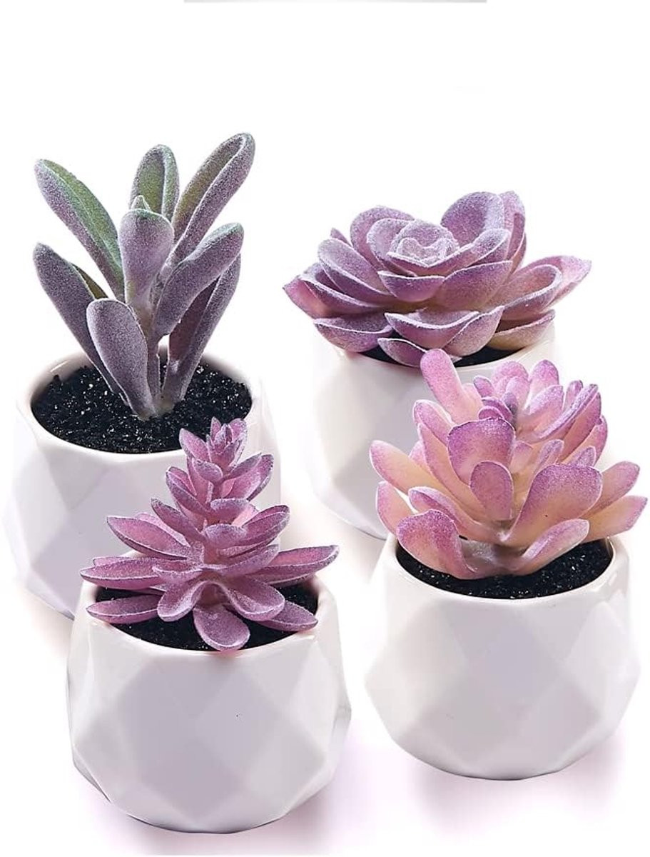Kunstplant Succulent Set met realistische mini paarse decoratie in keramische potten