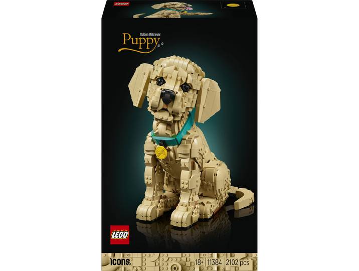 Lego Icons Chiot Golden Retriever 11384 LEGO