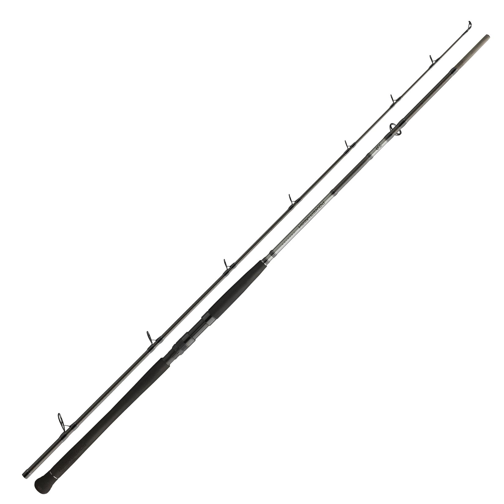 Daiwa Powermesh CF Boje 2,70m 150-400g Welsrute
