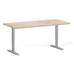 Höhenverstellbare Werkbank für die Werkstatt, 2 Motoren, 1700 x 800 x 760-1230 mm, graues Untergestell