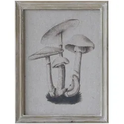 Chic Antique Bild mit Pilzmotiv und Naturrahmen, Motiv 1