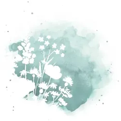 mit eigenen Fotos gestalten im Design "Aquarellwiese" - Musterkarte - Karten einfach online bei wunderkarten gestalten und bestellen