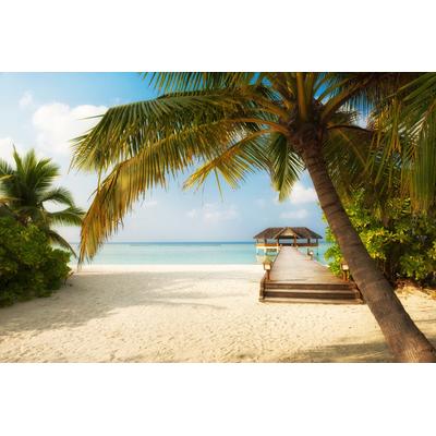 Papermoon "PALMEN-STRAND-KARIBIK SÜDSEE MEER DÜNEN STEG SONNE"