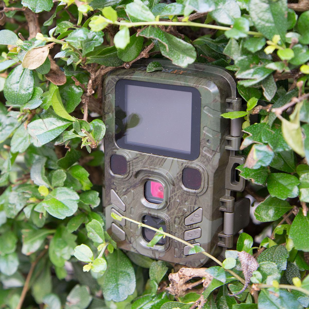 Technaxx Mini Nature Wild Cam Tx-117