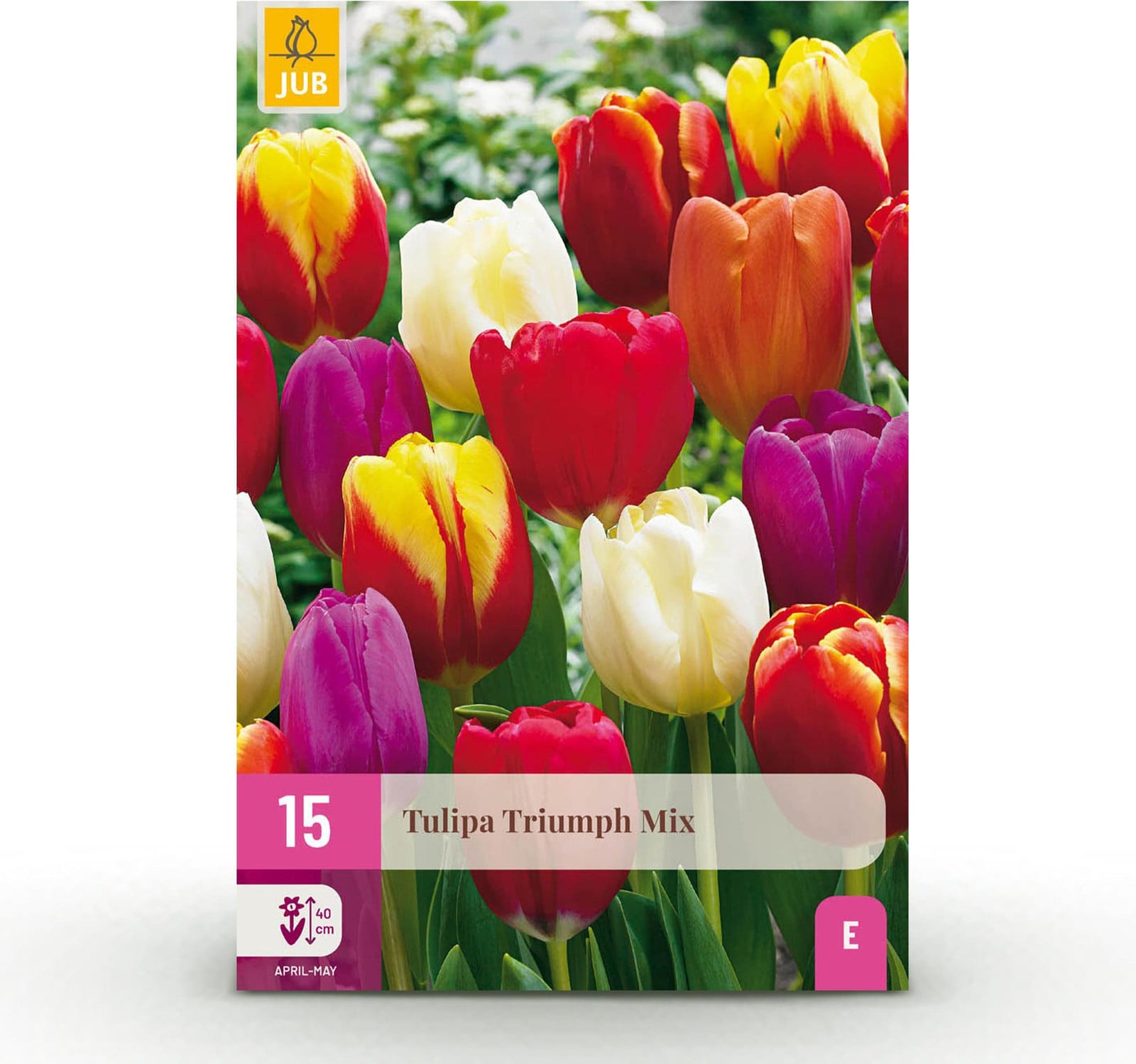 Pflanzenboutique Tulp Triumph mix bloembollen, diverse kleuren, 15 stuks