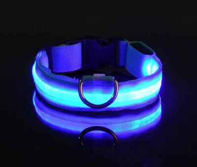 Uplifted Finds Nylon LED Night Safety Glow Dog Leash And Collar xl blue