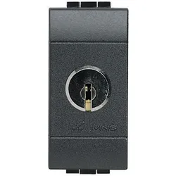 Legrand L4012C Schlü.-Aus versch.Schl. ANTH.