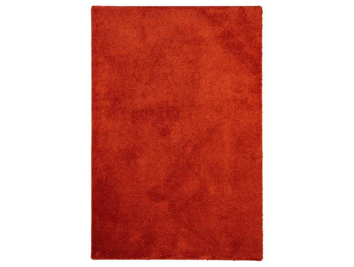 HOCHFLOR SHAGGY TEPPICH PALACE