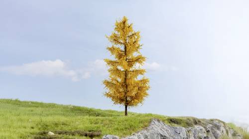 NOCH 0020167 Baum Lärche 170mm 1St.