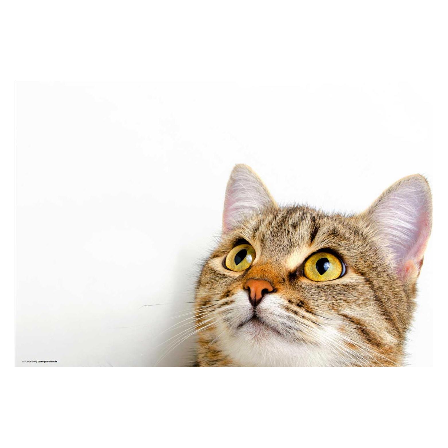 CoverYourDesk Schreibtischunterlage Katzenblick (21557392)