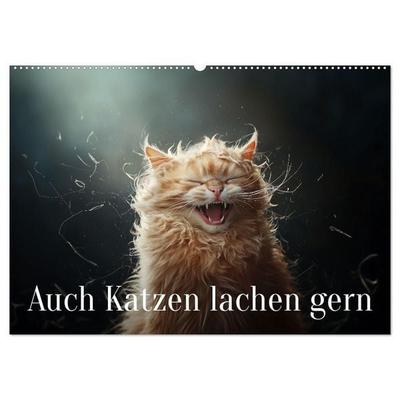 Auch Katzen lachen gern (Wandkalender 2027 DIN A2 quer), CALVENDO Monatskalender